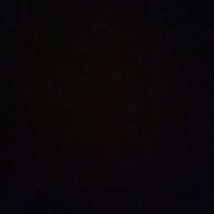 پروفایل علی نوری