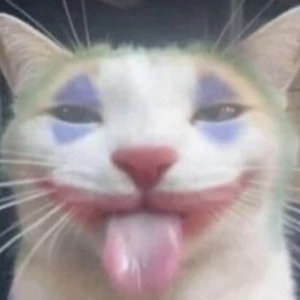 پروفایل کیان گوهری