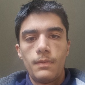 پروفایل امیر طیبی