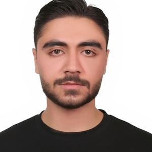 پروفایل پارسا دولت آبادی