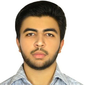 پروفایل سید مصطفی حسینی