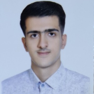 پروفایل محمدحسین مهرچیان