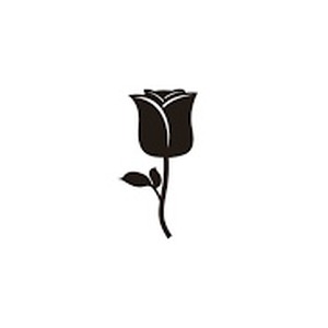 پروفایل AmirMohammad