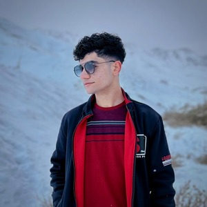 پروفایل Babak Ansarifard