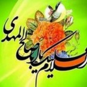پروفایل سید رضا اکبرزاده میری