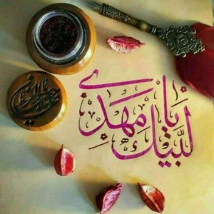 پروفایل امیررضا اکبرزاده