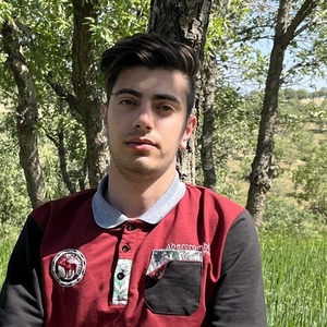 پروفایل محمد حسینی