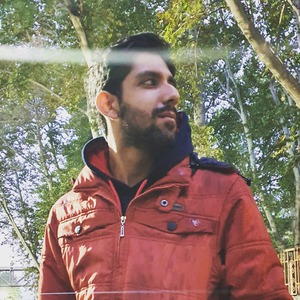 پروفایل محمدحسین شاهپوری