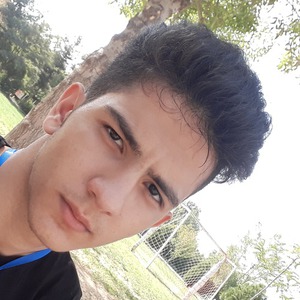 پروفایل محمد علی مددی