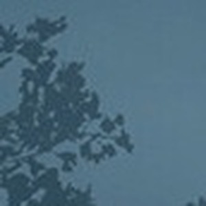 پروفایل آرش حدادی