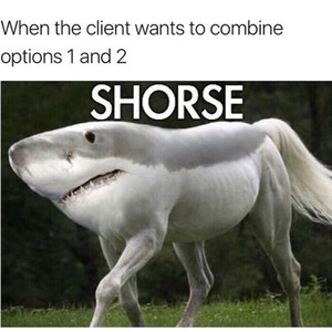 پروفایل amo amir