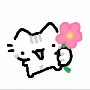 پروفایل Elsana Mohammadi