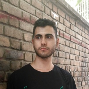 پروفایل امیرحسین پورهوشنگی