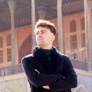 پروفایل سید علی مهدی