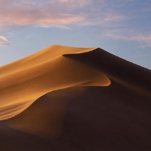 پروفایل آرین آروین