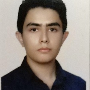 پروفایل amirhosein tahmasbzadeh