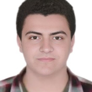 پروفایل سید محمد علی صابری