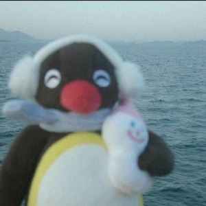 پروفایل مریم نوکهن