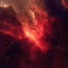 پروفایل محمد زارع