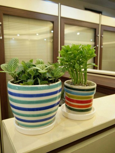 مجموعه تصاویر