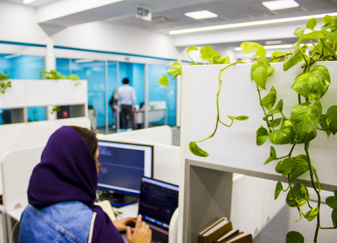 مجموعه تصاویر