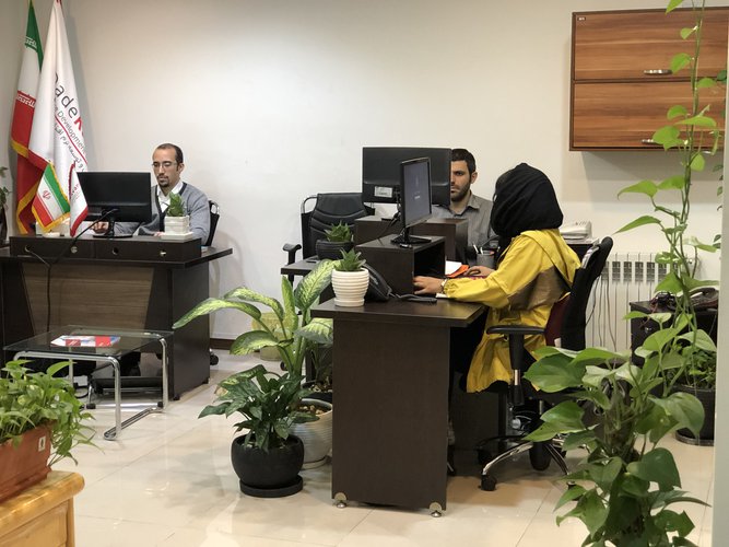 مجموعه تصاویر