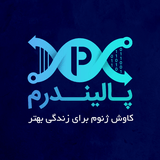 پالیندرم