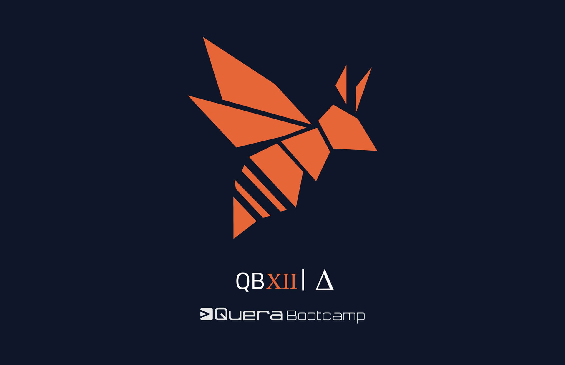 بوت کمپ تحلیل داده