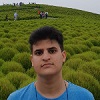 محمد مهدوی's avatar