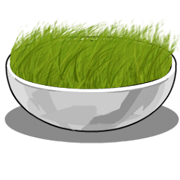 سبزی
